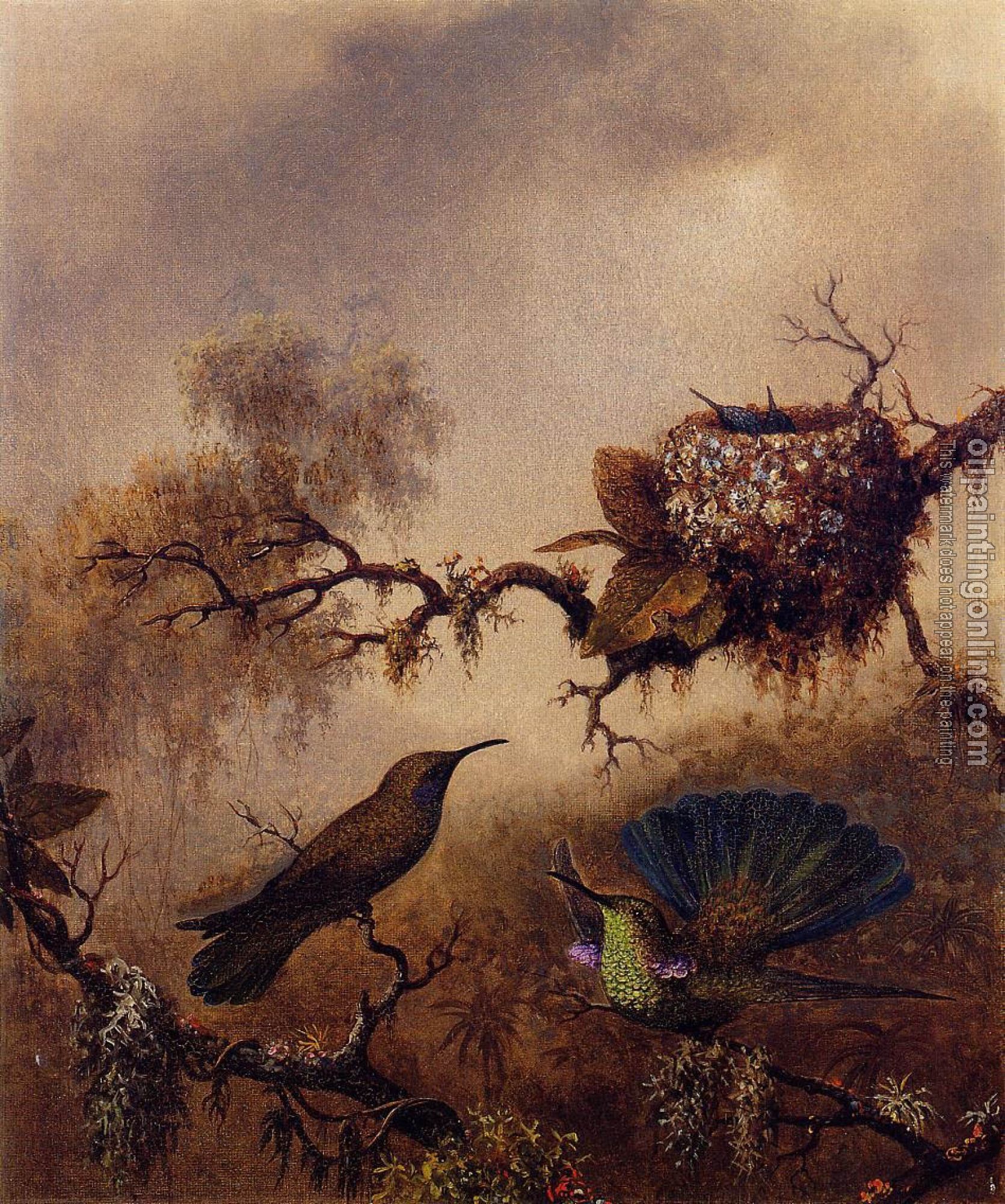 Heade, Martin Johnson - White-Vented Violet-Eared